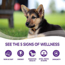 Complete Health Just for Puppy Canned Dog Food