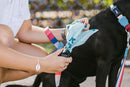 Poop Bag Dispenser Dog