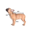 Charlie Jumpsuit Dog Cat Apparel
