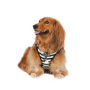 Vegan Leather Step In Dog Harness - The Frankie