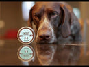 Organic Snout Soother Stick