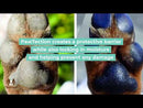 Organic Pawtection Stick