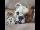 Organic Paw Soother Stick