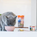 Canned Lamb & Salmon Cat Food