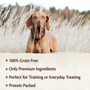 CORE Pure Rewards Beef & Venison Jerky Dog Soft Treats