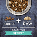 Raw Boost Grain Free Real Chicken Recipe for Puppy Dry Dog Food