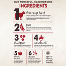 CORE SIX Free Range Lamb Grain Free Dry Dog Food