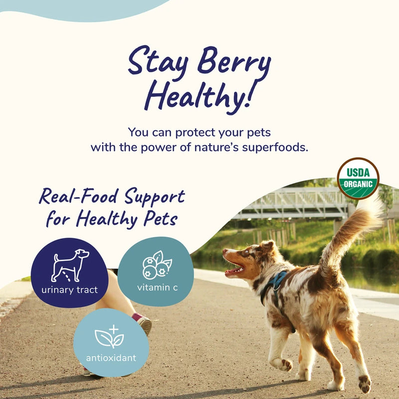 Healthy Immunity Antioxidant Supplement For Dogs & Cats