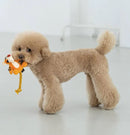 Disney Winnie the Pooh Tigger Rope Dog Toy