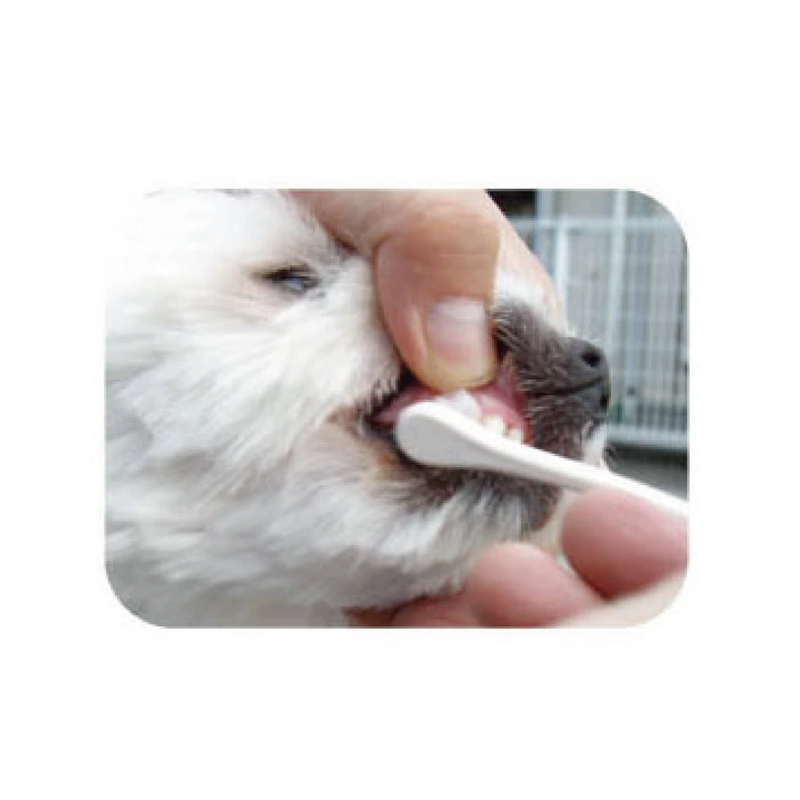 Care Tooth Paste Milk Flavor For Dogs