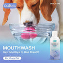 Rollon Oral Care Pro Mouthwash