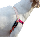 Cinnamon Soft-Walk Harness
