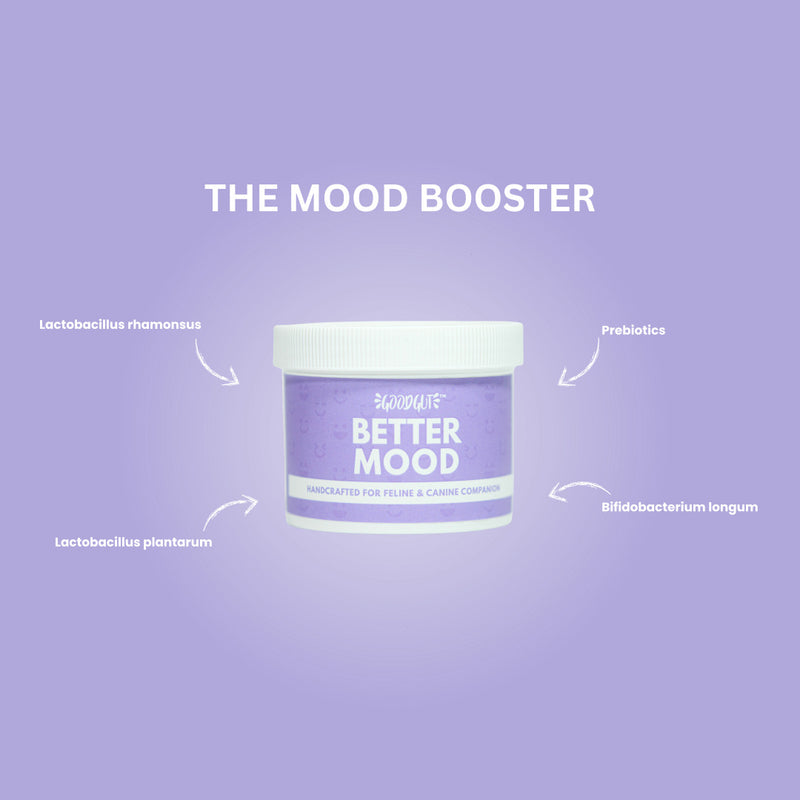 Better Mood For Pets