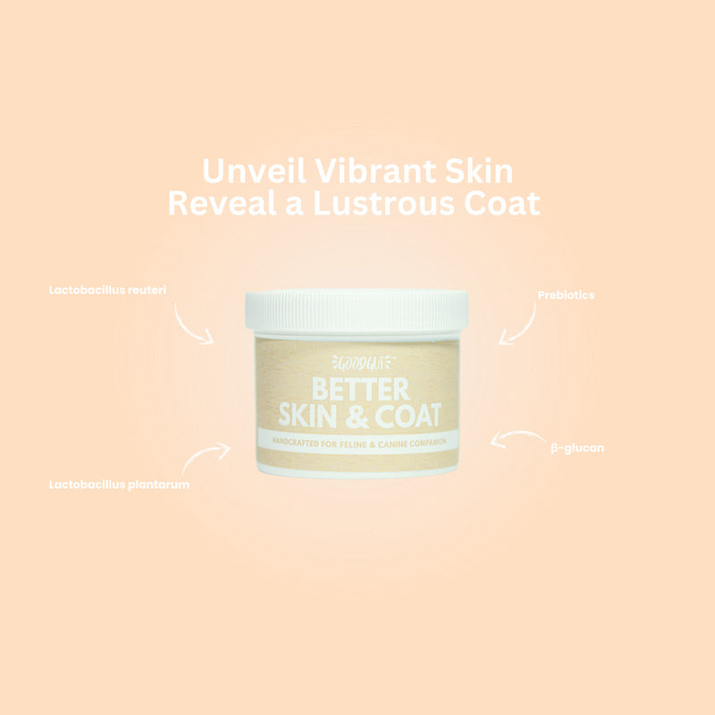 Better Skin & Coat For Pets
