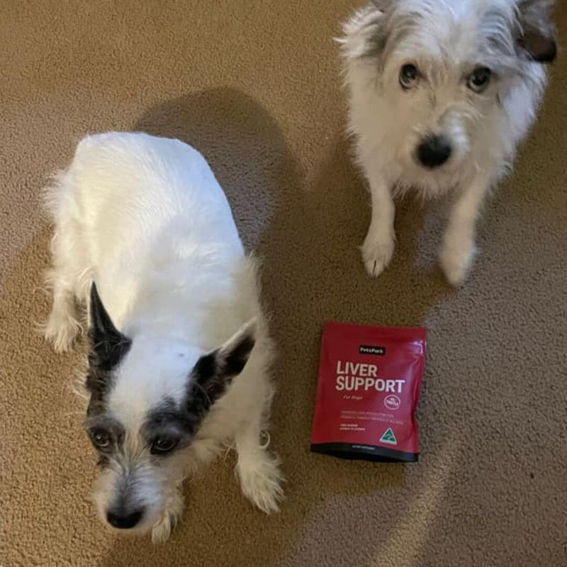 Liver Support With Milk Thistle For Dogs