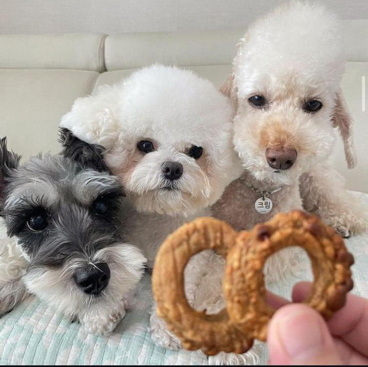 Balance Donut (Veggie & Pumpkin) For Dog