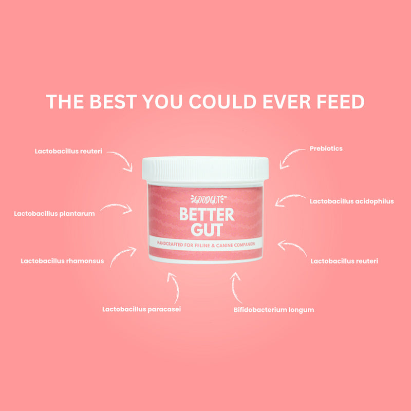 Better Gut For Pets