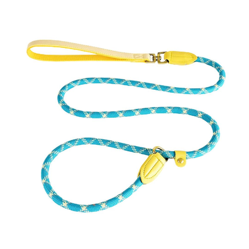 Slip Leash 150 cm x 10 mm For Pets (Type A)
