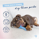 Puppy 2-Pack Maplestick Bacon & Natural Rubber Bone