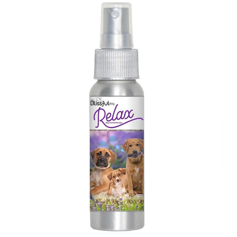 Relax Dog Aromatherapy