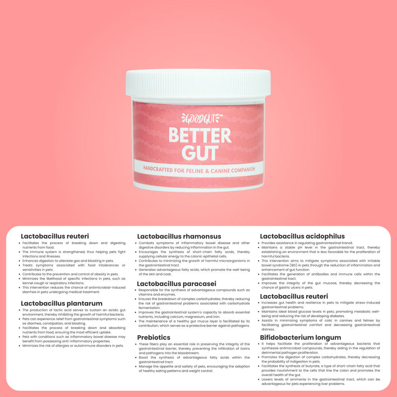 Better Gut For Pets