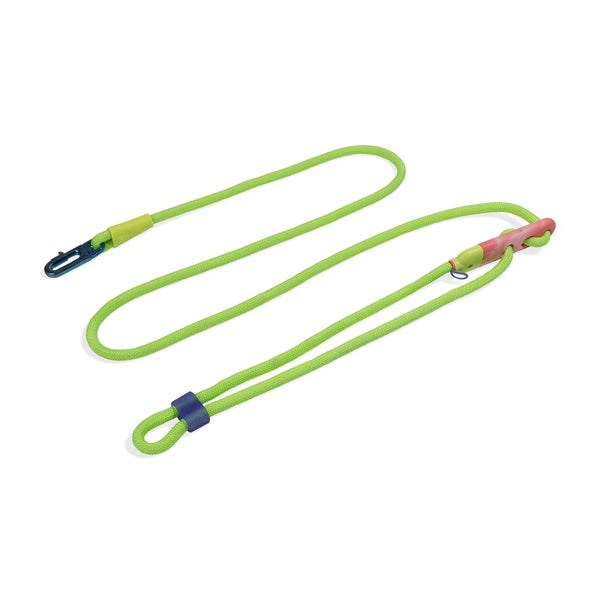 GLO Hands-Free Dog Leash