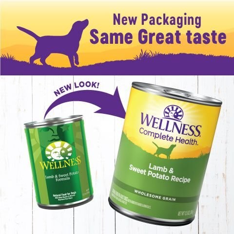 Complete Health Lamb & Sweet Potato Canned Dog Food