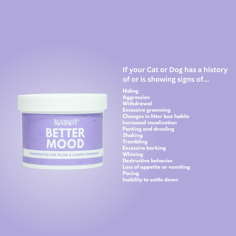 Better Mood For Pets