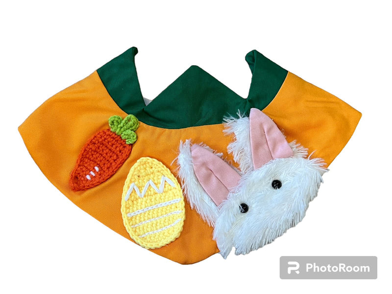 Carrot Bib For Pets