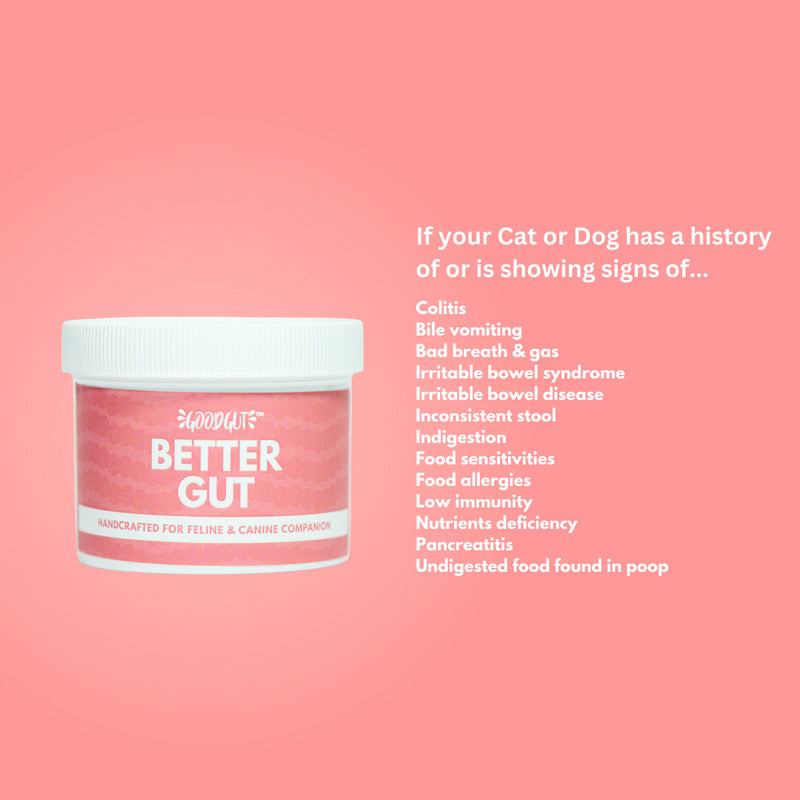 Better Gut For Pets