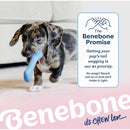 Puppy 2-Pack Maplestick Bacon & Natural Rubber Bone