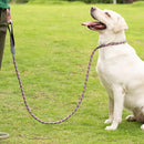 Periwinkle Slip Leash for Pets