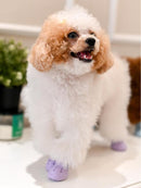 Crocsy Beige Waterproof Rubber Dog Shoes