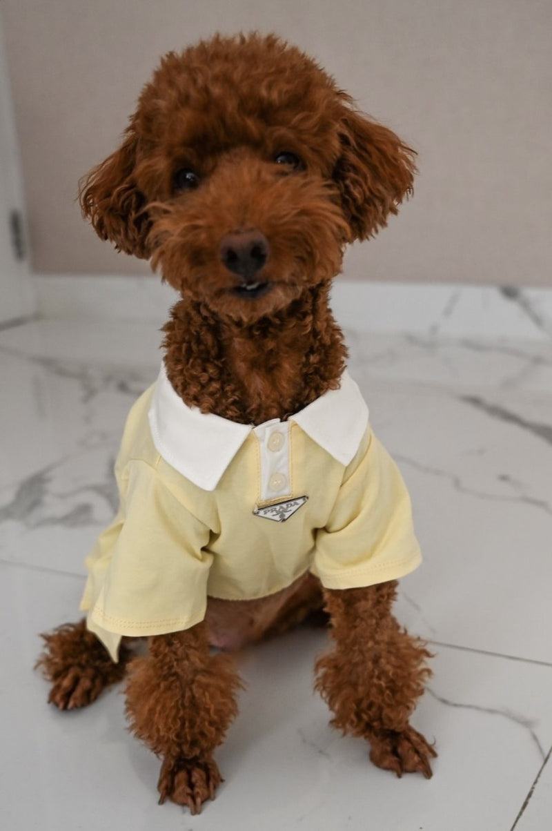 Pawda Tennis Shirt Yellow