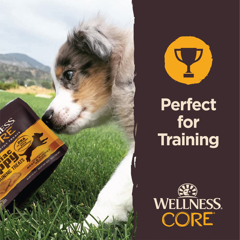 CORE Brainiac Soft Puppy Training Treats Beef & Turkey Dog Treats