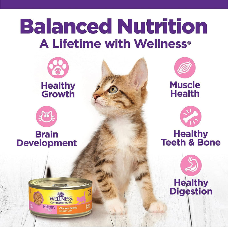 Complete Health Pate Grain-Free Chicken Entree Kitten Cat Food