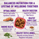 Morsels Grain Free Salmon Dinner Cubes in Rich Gravy Cat Food