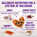 Sliced Chicken Entree Cuts in Rich Gravy Grain Free Cat Food