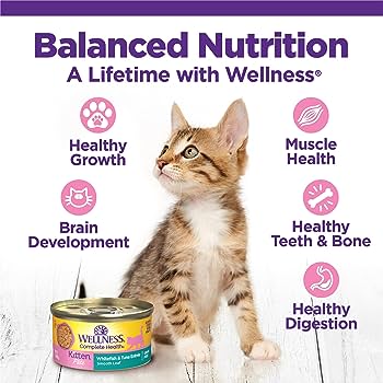 Complete Health Grain-Free Pate Whitefish & Tuna Entree Kitten Cat Food
