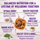 Morsels Grain Free Chicken Entree Cubes in Rich Gravy Cat Food