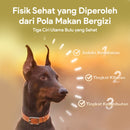Rabbit & Chicken Baked Dog Food