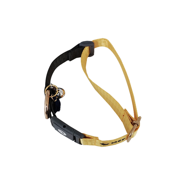 V1 Basic Pet Collar - Canary Charcoal