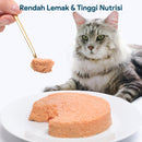 Chicken Formula Canned Cat Food - 100gr