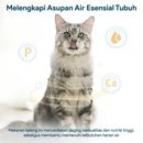 Beef Formula Canned Cat Food - 100gr