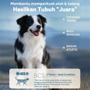 Chicken & Fish Baked Dog Food
