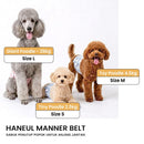 Haneul Manner Belt