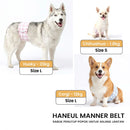 Haneul Manner Belt