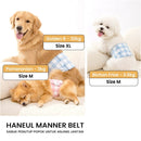 Haneul Manner Belt