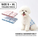 Haneul Manner Belt