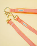 Hands Free Leash Set with Belt